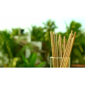 Coconut Palm Leaf Drinking Straws (50 Count)